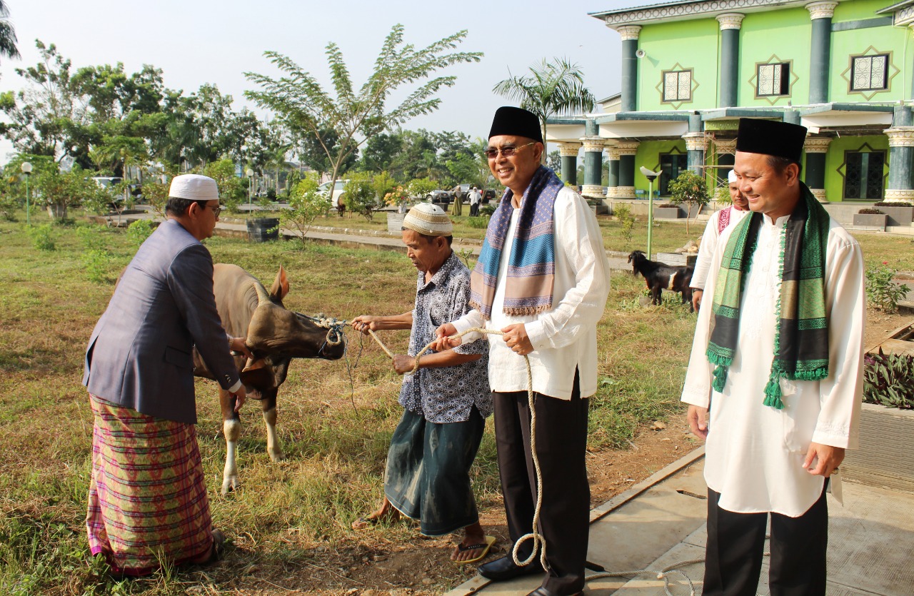 Pemotongan 1136 Hewan Qurban Di Wilayah Kabupaten Musi Rawas