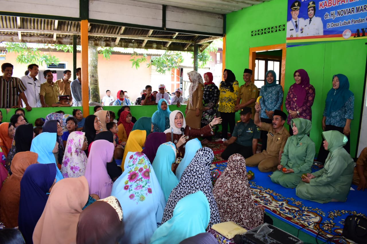 Bunda Baca Sosialisasikan Cegah Stunting di Desa Lubuk Pandan