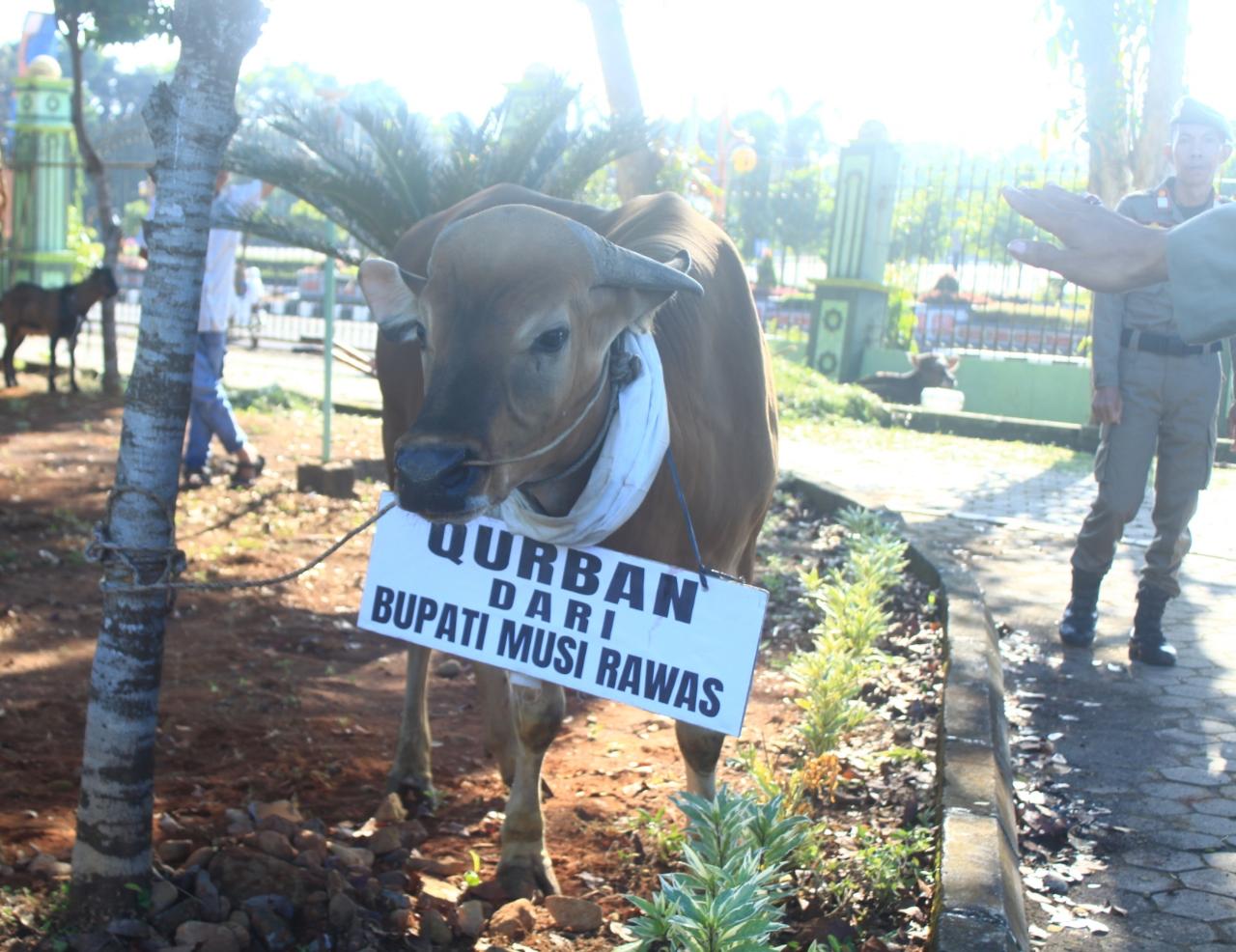 Serahkan Hewan Qurban Idul Adha