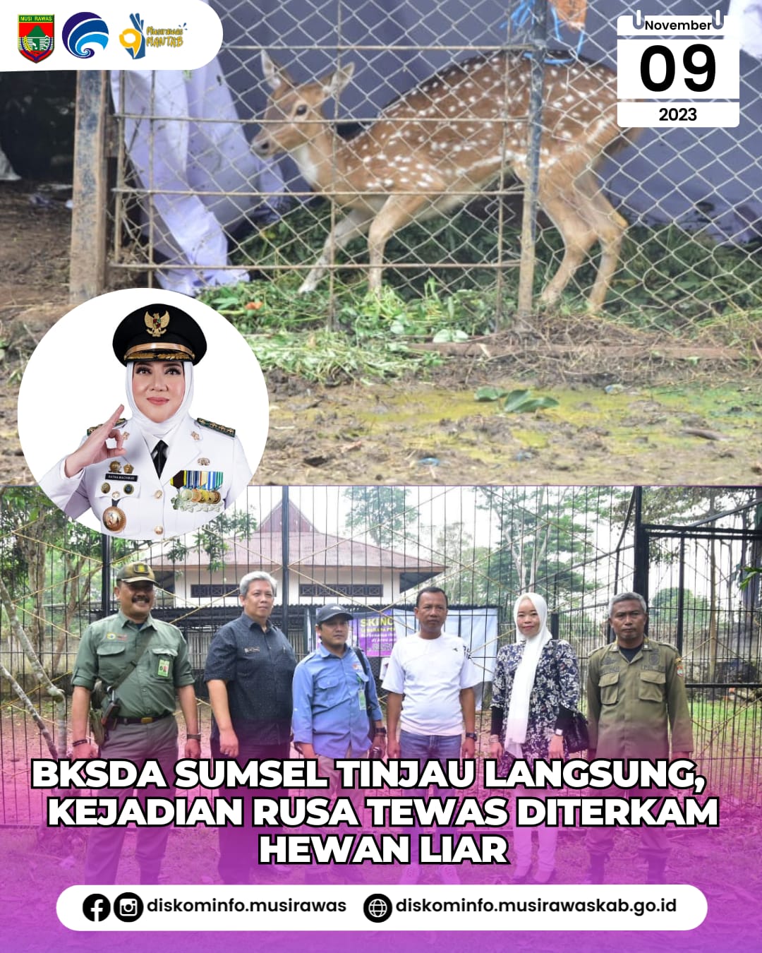 BKSDA Sumsel Tinjau Langsung Kejadian Rusa Tewas Diterkam Hewan Liar